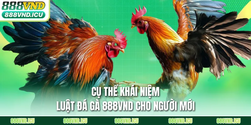 Cụ thể khái niệm luật đá gà 888VND cho người mới
