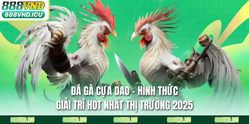 Đá Gà Cựa Dao - Hình Thức Giải Trí Hot Nhất Thị Trường 2025
