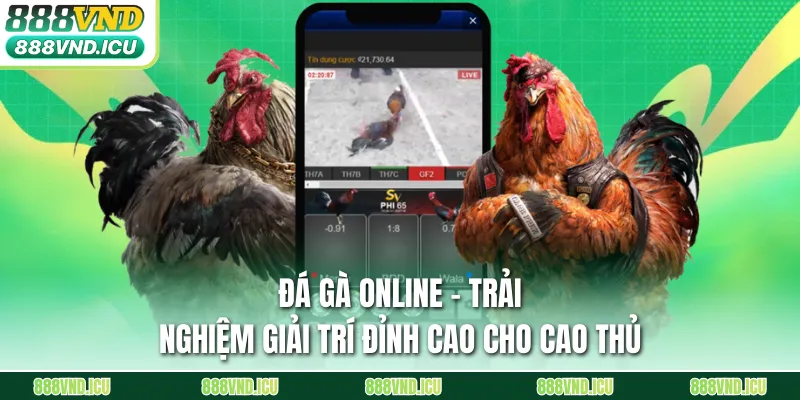 Đá Gà Online – Trải Nghiệm Giải Trí Đỉnh Cao Cho Cao Thủ