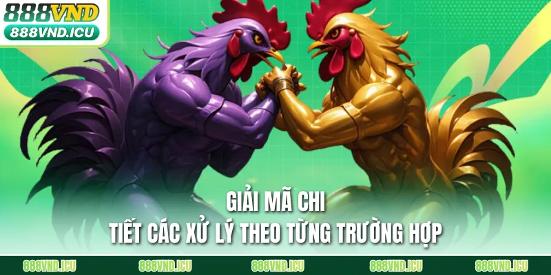 Giải mã chi tiết các xử lý theo từng trường hợp