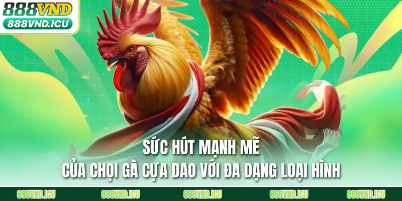 Sức hút mạnh mẽ của chọi gà cựa dao với đa dạng loại hình