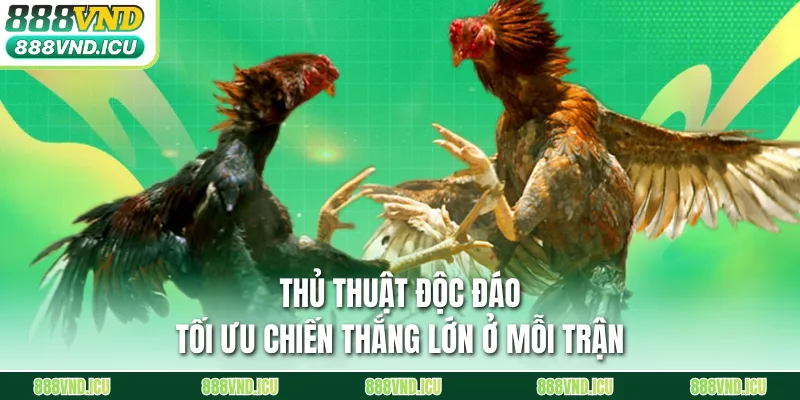 Thủ thuật độc đáo tối ưu chiến thắng lớn ở mỗi trận