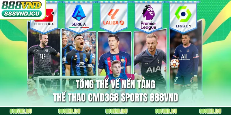 Tổng thể về nền tảng thể thao CMD368 Sports 888VND